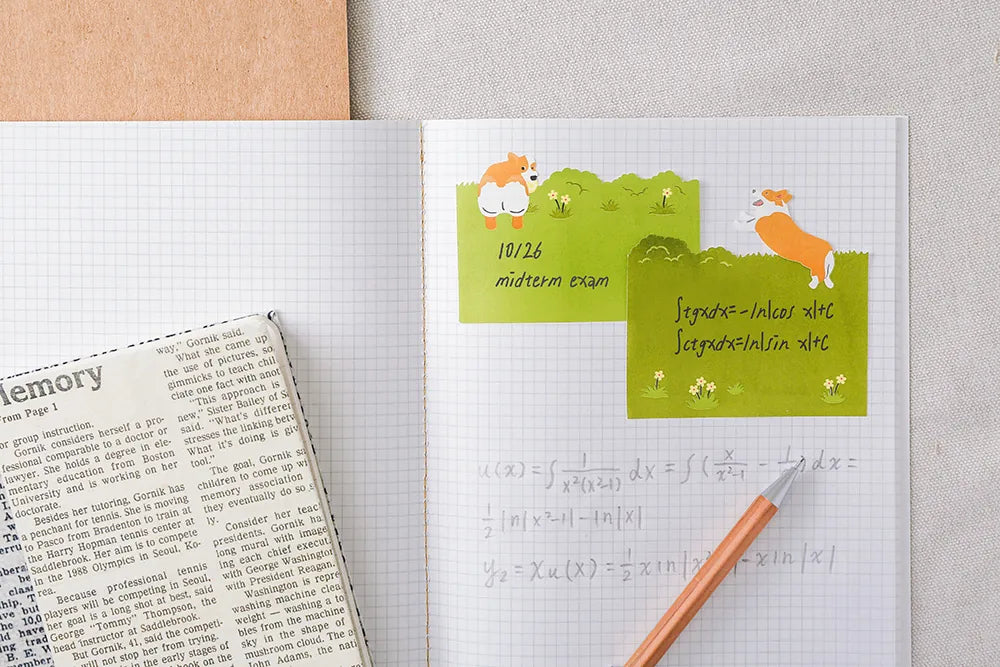i-Marker View Series Page Markers - Corgi